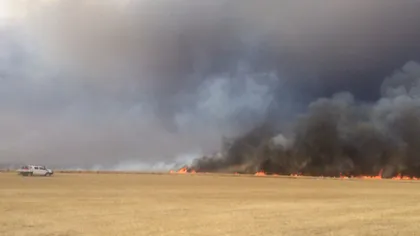 Circulaţie oprită pe Autostrada Bucureşti - Piteşti, din cauza unui incendiu de vegetaţie UPDATE