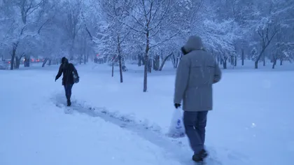 Ninsori şi oameni morţi din cauza frigului. Zăpezi şi temperaturi de -9 grade Celsius