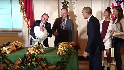 Conform tradiţiei, preşedintele Obama a graţiat un curcan de Ziua Recunoştinţei