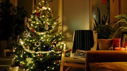 Decoraţiuni de Crăciun: Cum să împodobeşti cu bun gust sufrageria şi masa de Sărbători