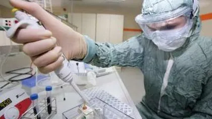 Gripa porcină a provocat 112 decese în Iran
