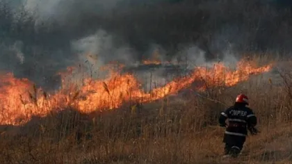 Incendiul de pădure din Buzău a fost STINS după 12 ore