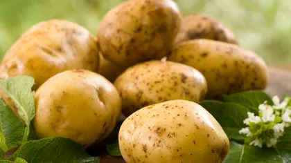 STUDIU: Cartofii, legumele care previn cancerul la stomac