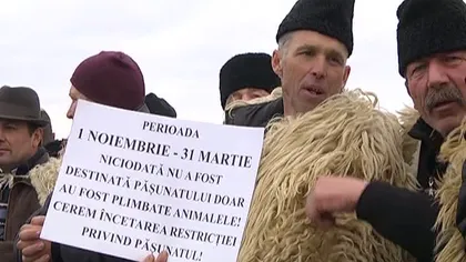 Ciobanii reiau protestele dacă Legea vânătorii nu va fi modificată până în februarie 2016