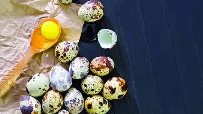 De ce e bine să ţii cura cu ouă de prepeliţă