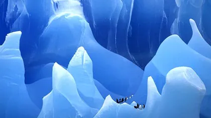 Un canion uriaş a fost descoperit sub calota de gheaţă din Antarctida