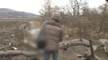 Moarte stupidă pentru un bărbat din Sibiu. Şi-a pierdut viaţa după ce un copac a căzut peste el