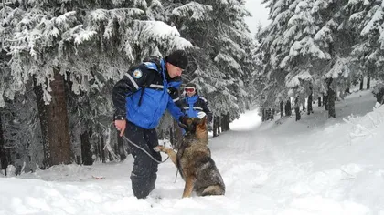POVESTEA câinilor eroi care salvează oameni alături de jandarmii montani