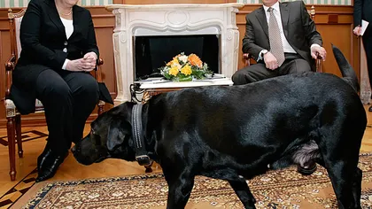 Putin neagă vehement că ar fi asmuţit câinele său pe Merkel