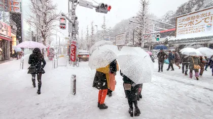Japonia se confruntă cu ninsori fără precedent GALERIE FOTO