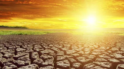 NASA anunţă: 2015 a fost anul cel mai cald înregistrat vreodată pe Terra