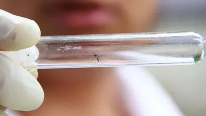 MAE avertizează românii. Virusul Zika, prezent în 28 de ţări