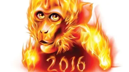 Horoscop chinezesc 2016. Cum evoluezi în carieră în anul Maimuţei de Foc