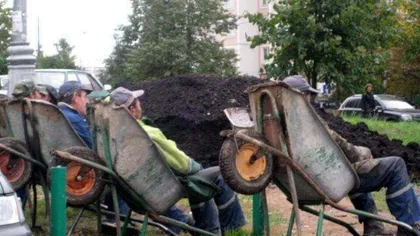 Dorel loveşte la Brăila: După două zile de săpat, muncitorii au realizat ca au greşit strada
