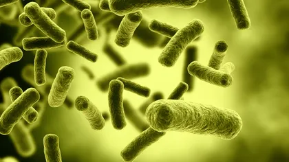 ALERTĂ MEDICALĂ. O bacterie face ravagii: un copil a murit, alţi 12 se află în stare gravă UPDATE