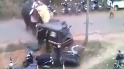 Un elefant furios a distrus mai multe vehicule în timpul unei sărbători religioase în India VIDEO