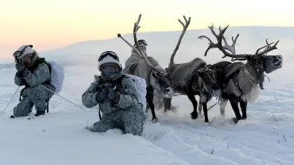 Militarii ruşi în regiunea arctică. Se antrenează pe sănii trase de reni şi câini la -30 de grade Celsius VIDEO