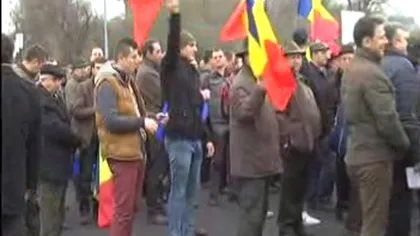 Pădurarii au protestat în faţa Guvernului. O delegaţie merge la NEGOCIERI VIDEO UPDATE