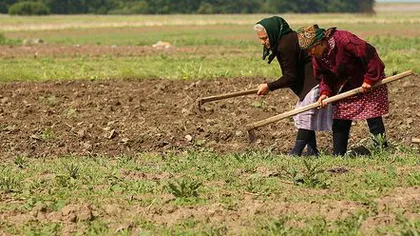 Guvernul a aprobat măsuri financiare pentru susţinerea agricultorilor