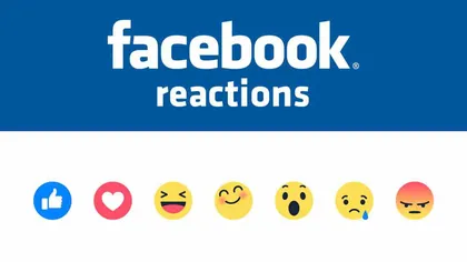 Instanţă germană: Butonul LIKE al Facebook  încalcă legile germane şi comunitare privind intimitatea
