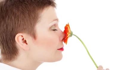 Ce spune forma nasului despre tine