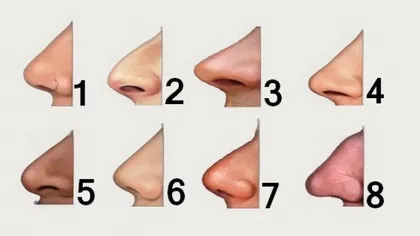 Tot ce trebuie să ştii despre o persoană, în funcţie de forma nasului