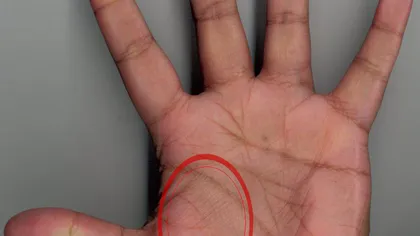 Cum se interpretează linia vieţii din palmă: 17 semnificaţii în funcţie de formă şi lungime