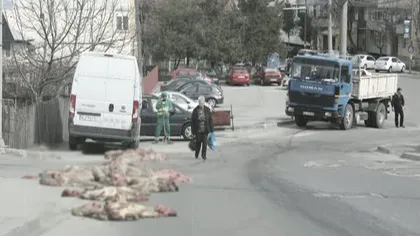 O stradă din Piteşti s-a umplut de măruntaie de animale căzute dintr-o maşină