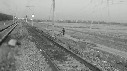SCENE de GROAZĂ în Ialomiţa. Zeci de oi au fost omorâte de tren VIDEO