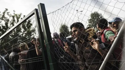 Grecia este bănuită că ar fi DEPORTAT imigranţi care solicitau azil
