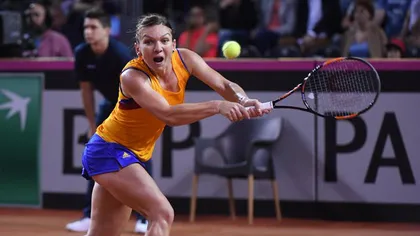 Simona Halep, prima reacţie după victoria din Fed Cup: Am dureri...