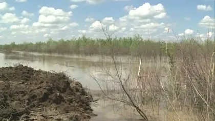 COD GALBEN de inundaţii pe râurile din bazinul Trotuşului