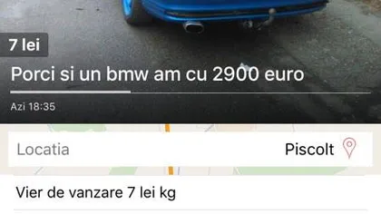 Florin din Pişcolt, anunţul VIRAL pe un site de vânzări: BMW şi porci, la pachet pentru 2900 de euro