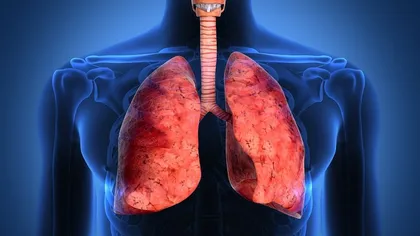 Procedurile de transplant pulmonar au fost deblocate de Ministerul Sănătăţii