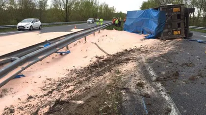 Un şofer român s-a răsturnat cu camionul pe o autostradă din Franţa