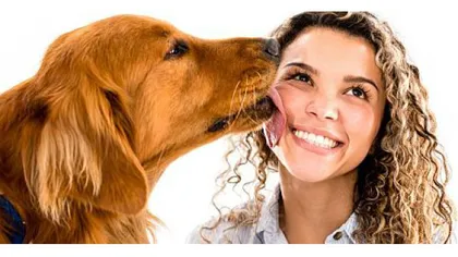 Atenţie mare! Ce ţi se întâmpla dacă te linge un câine pe faţă! Adevărul te va şoca!