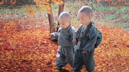 Regulile de bază după care îşi cresc tibetanii copiii! Te vor pune pe gânduri