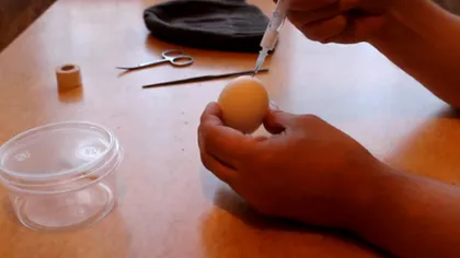 EXPERIMENT CONTROVERSAT: Un rus a injectat lichid seminal într-un ou de găină. Te apucă groaza când vezi ce a ieşit