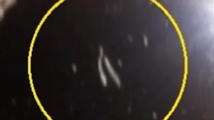 Staţia Spaţială Internaţională a filmat un OZN care a părăsit atmosfera terestră VIDEO