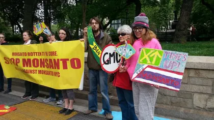 400 de marşuri de protest simultane în lume, împotriva gigantului Monsanto
