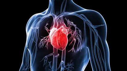 STUDIU: Un calcul de risc a supraestimat până acum producerea unui atac de cord sau a unui accident vascular