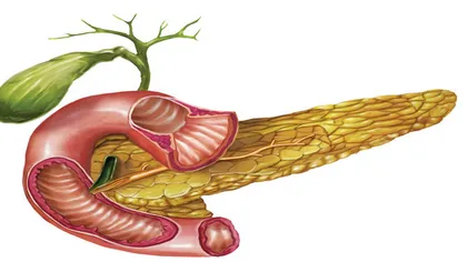 Cele mai eficiente 3 metode de detoxifiere a pancreasului