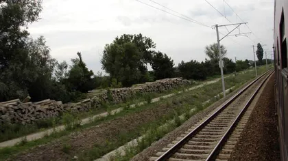 Trafic feroviar ÎNTRERUPT pe ruta Bucureşti-Ploieşti, din cauza copacilor rupţi de vânt