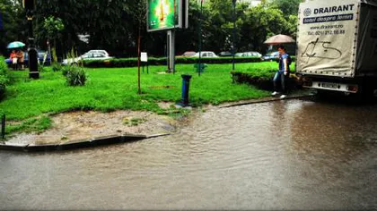 ISU: Un copac căzut şi acumulări de apă în urma Codului Portocaliu din Capitală