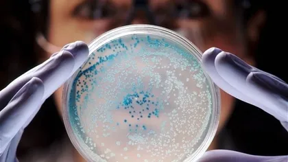 Bacteria rezistentă la antibiotice face noi victime în SUA. Un al doilea pacient a fost descoperit