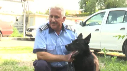 Primul câine-poliţist pentru detectarea ţigărilor de contrabanda a fost adus la IPJ Prahova VIDEO