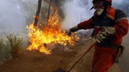Incendii de vegetaţie în Europa, dar şi peste ocean, în Statele Unite VIDEO