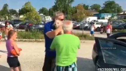 Un căţel, salvat de la moarte după ce a fost uitat în maşina încinsă de soare VIDEO