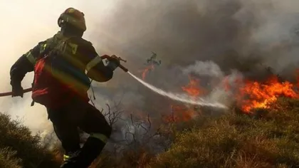 Incendii de vegetaţie devastatoare, în Cipru