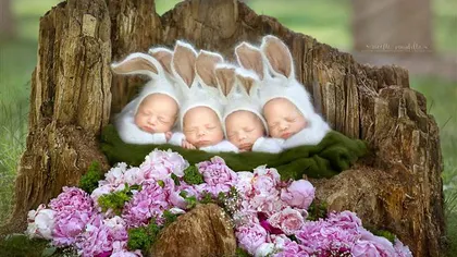 Imagini emoţionante cu 4 surioare gemene. Fotografa: Au dormit ca nişte îngeraşi, toată şedinţa